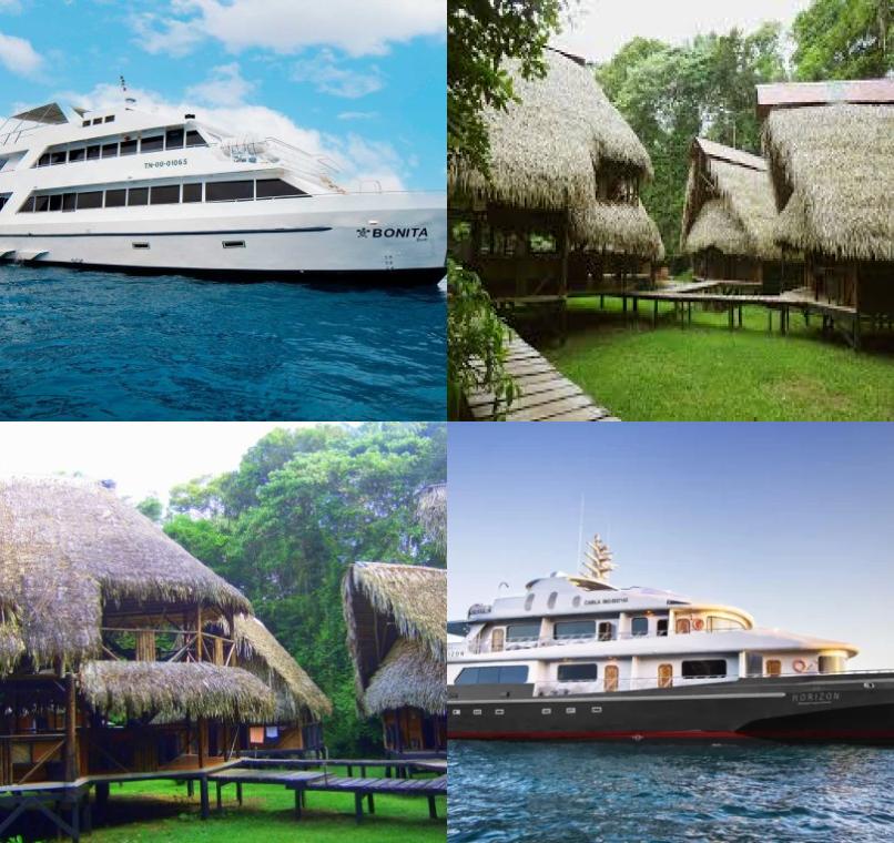 Galapagos Lastminutes & Jungle Tours