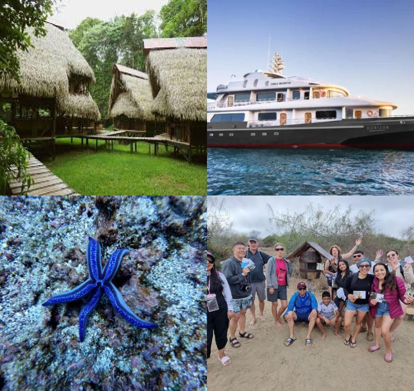 Galapagos Lastminutes & Jungle Tours