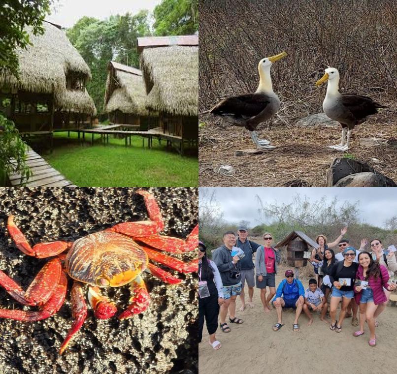 Galapagos Lastminutes & Jungle Tours