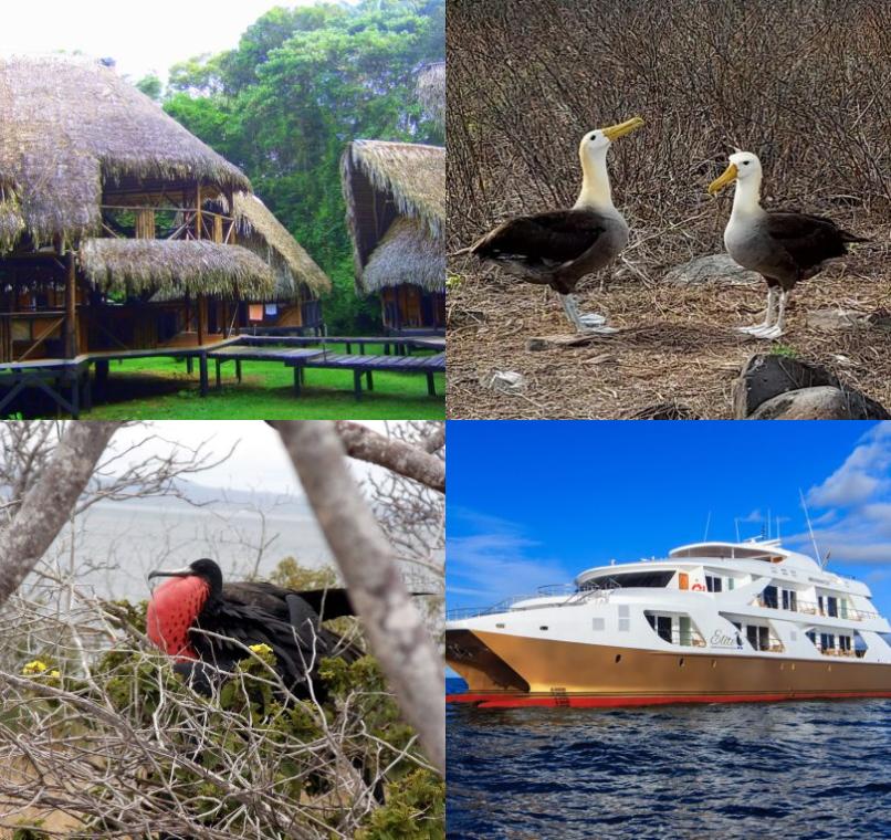 Galapagos Lastminutes & Jungle Tours