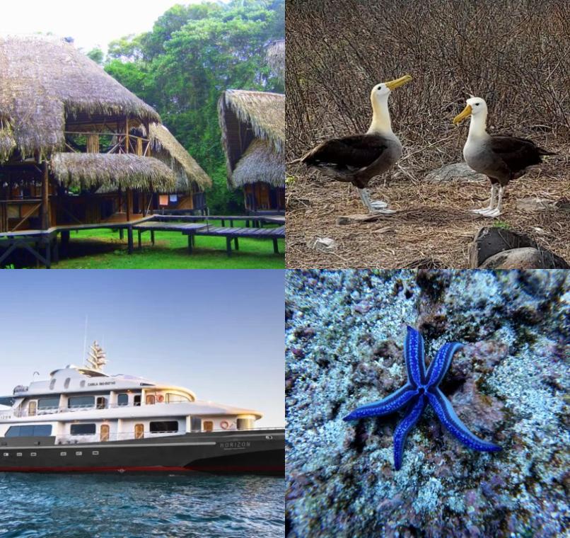 Galapagos Lastminutes & Jungle Tours