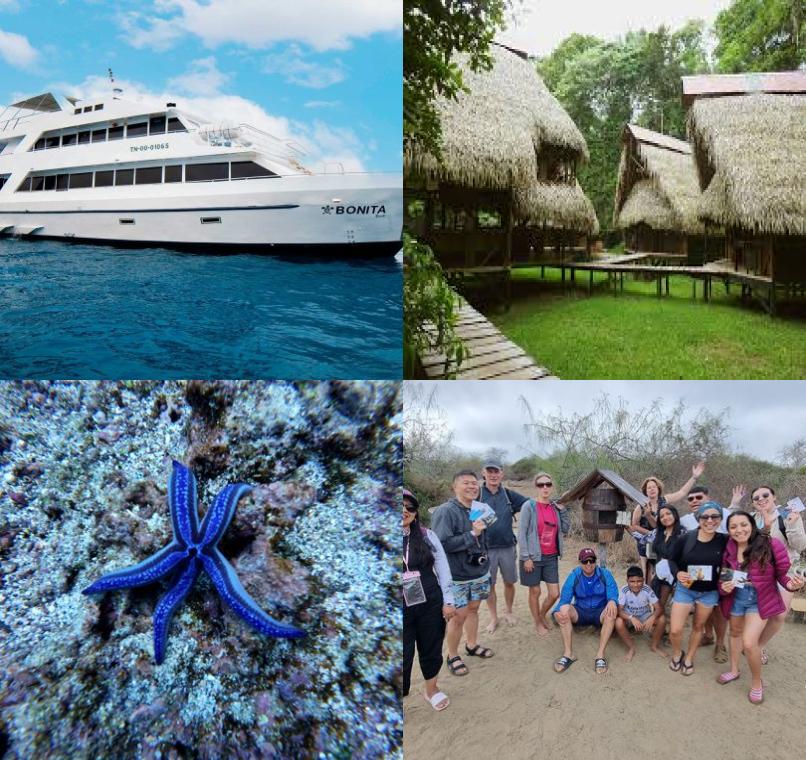 Galapagos Lastminutes & Jungle Tours
