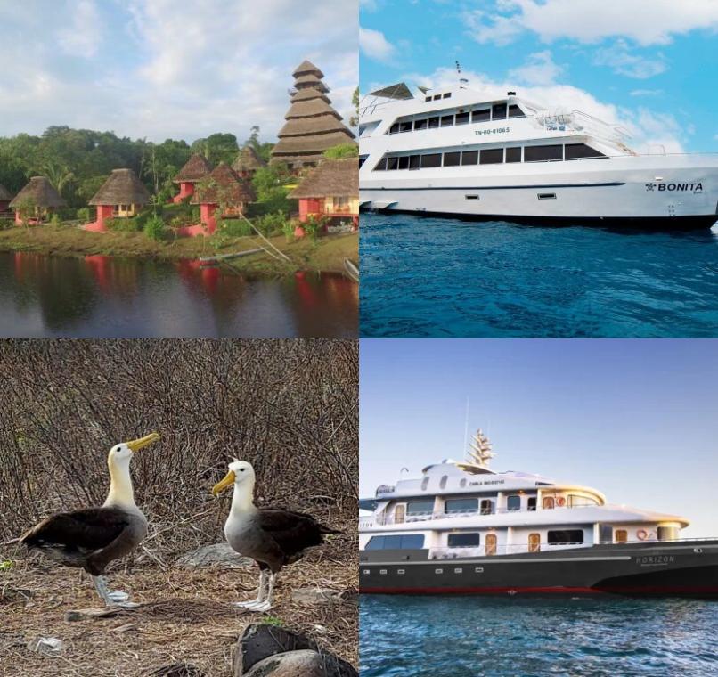 Galapagos Lastminutes & Jungle Tours