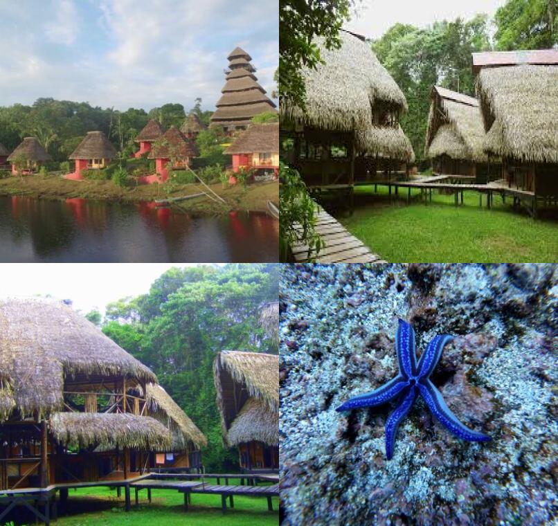 Galapagos Lastminutes & Jungle Tours