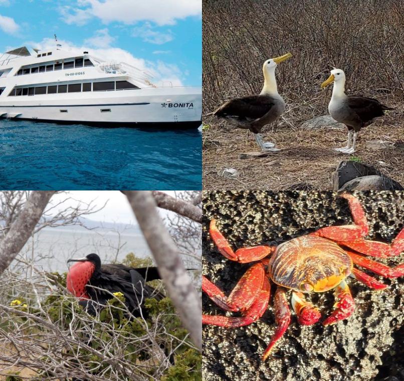 Galapagos Lastminutes & Jungle Tours