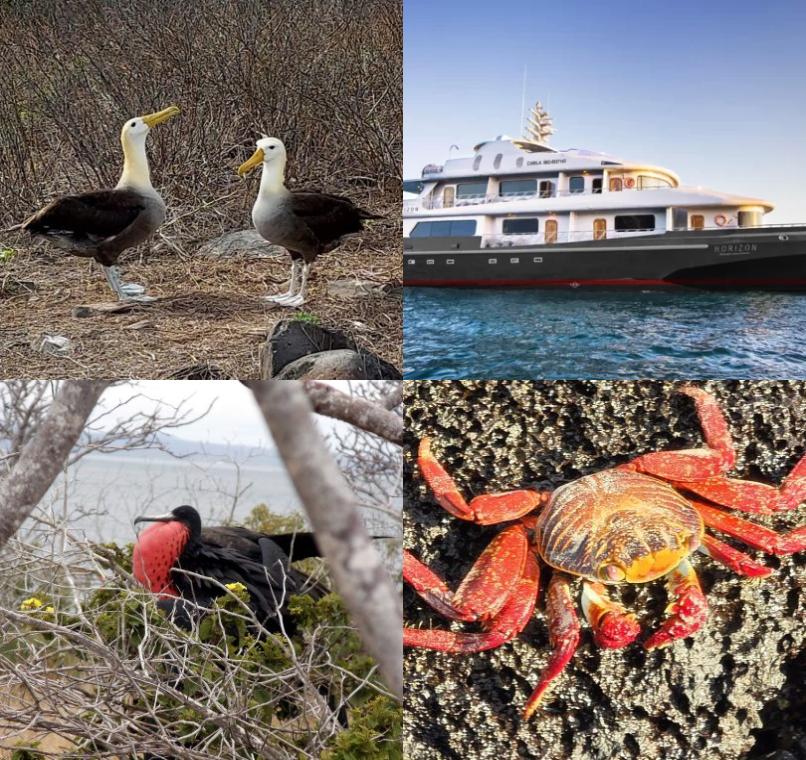 Galapagos Lastminutes & Jungle Tours