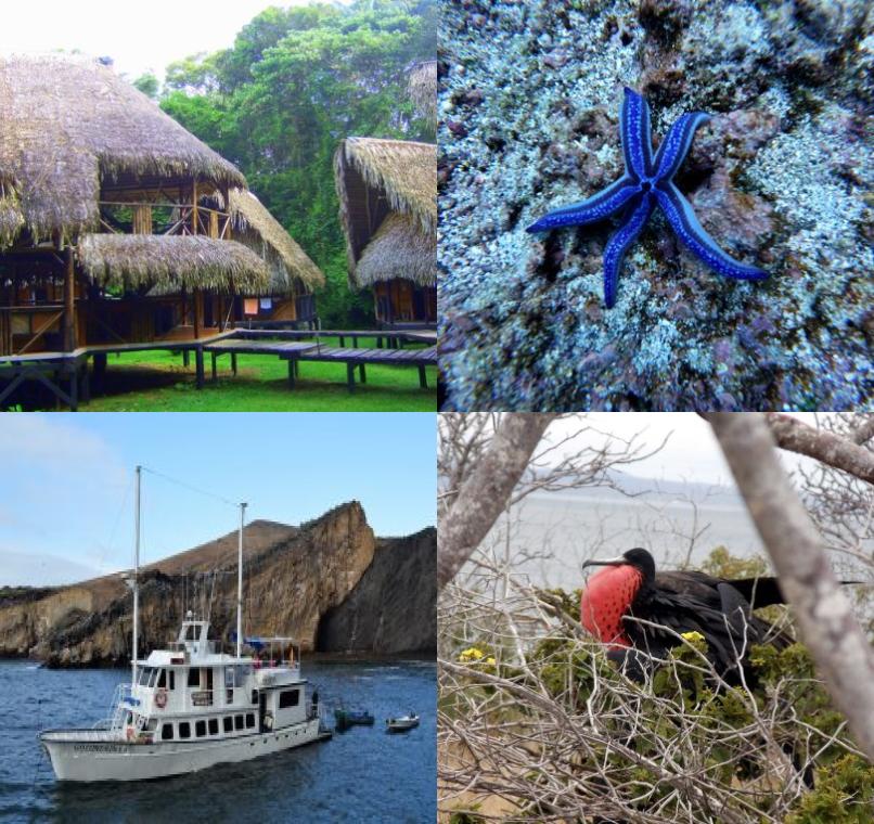 Galapagos Lastminutes & Jungle Tours
