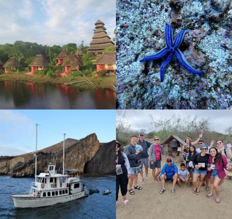 Galapagos Lastminutes & Jungle Tours