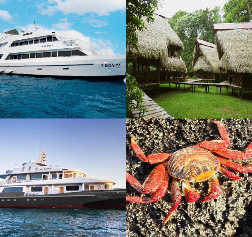 Galapagos Lastminutes & Jungle Tours
