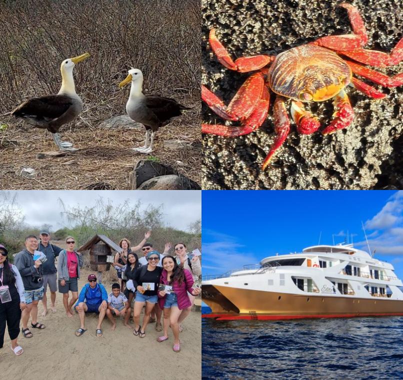 Galapagos Lastminutes & Jungle Tours