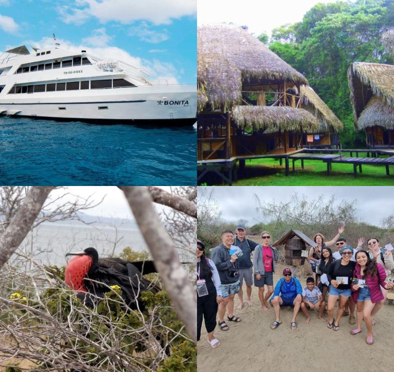 Galapagos Lastminutes & Jungle Tours