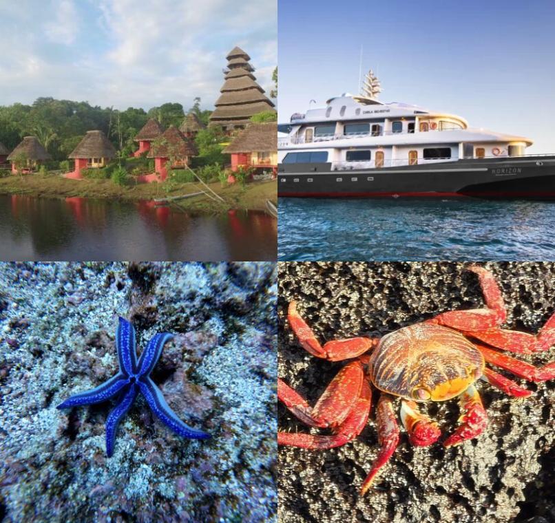 Galapagos Lastminutes & Jungle Tours