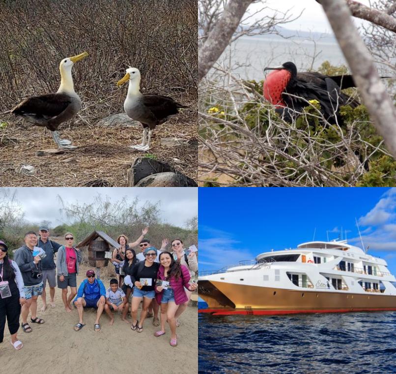 Galapagos Lastminutes & Jungle Tours