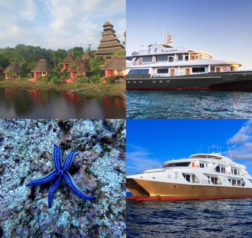 Galapagos Lastminutes & Jungle Tours