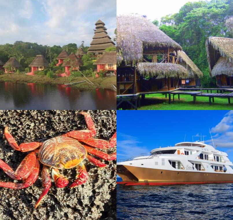 Galapagos Lastminutes & Jungle Tours