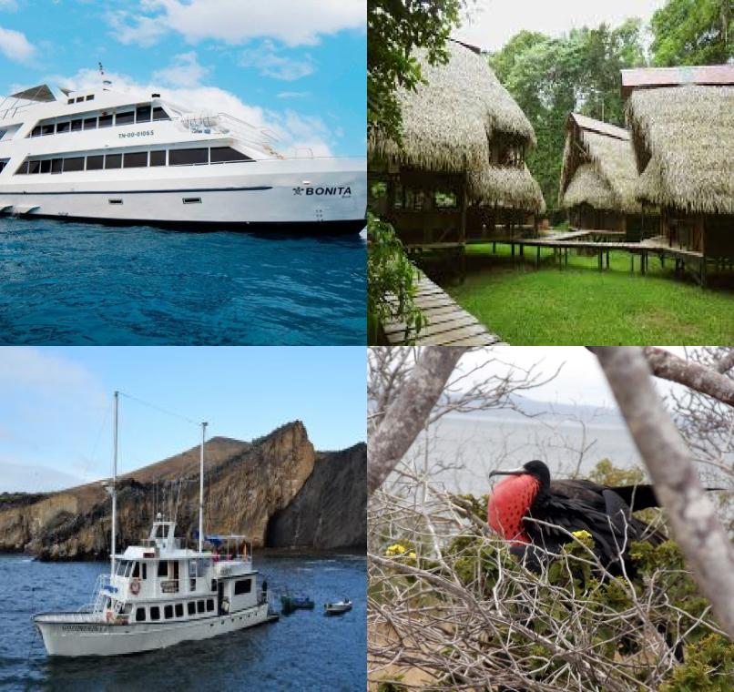 Galapagos Lastminutes & Jungle Tours