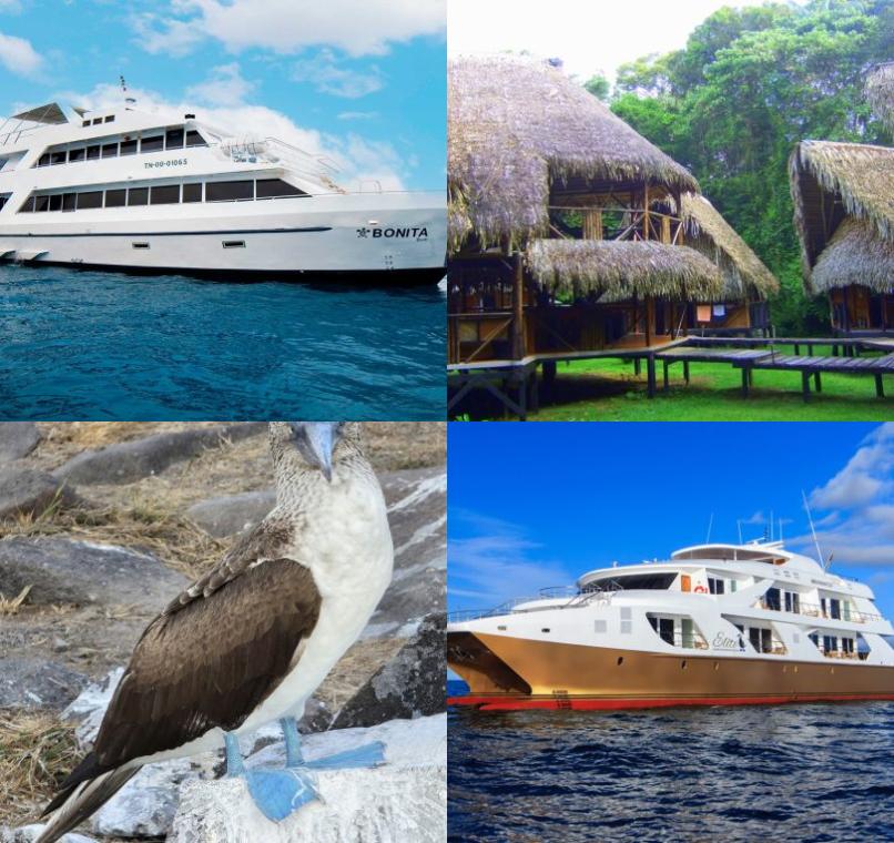 Galapagos Lastminutes & Jungle Tours