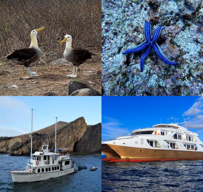 Galapagos Lastminutes & Jungle Tours