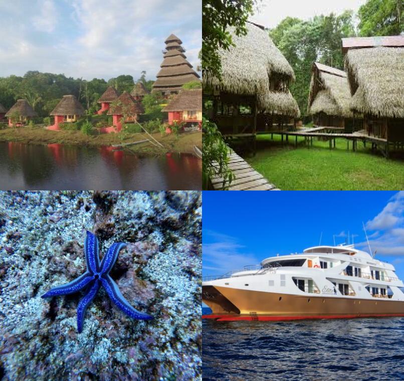 Galapagos Lastminutes & Jungle Tours