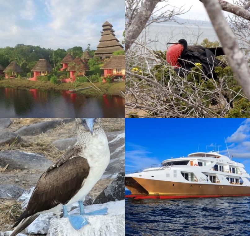 Galapagos Lastminutes & Jungle Tours