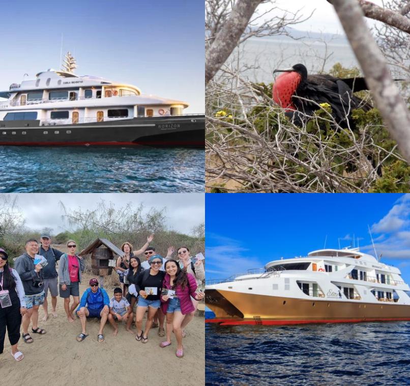 Galapagos Lastminutes & Jungle Tours