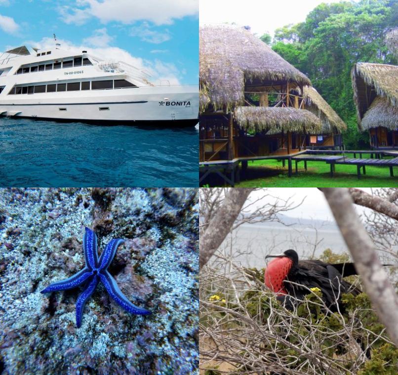 Galapagos Lastminutes & Jungle Tours