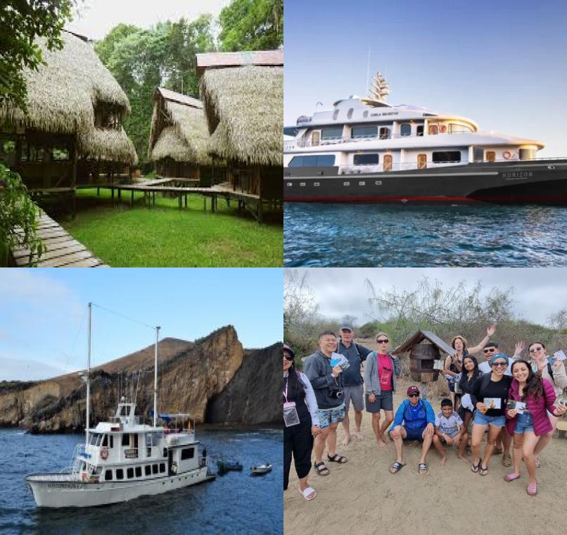 Galapagos Lastminutes & Jungle Tours