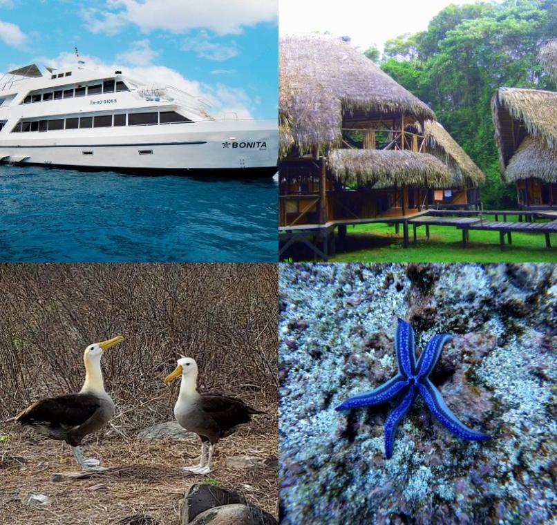 Galapagos Lastminutes & Jungle Tours