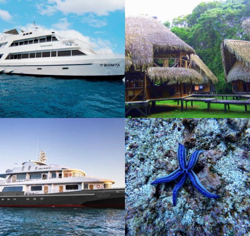 Galapagos Lastminutes & Jungle Tours