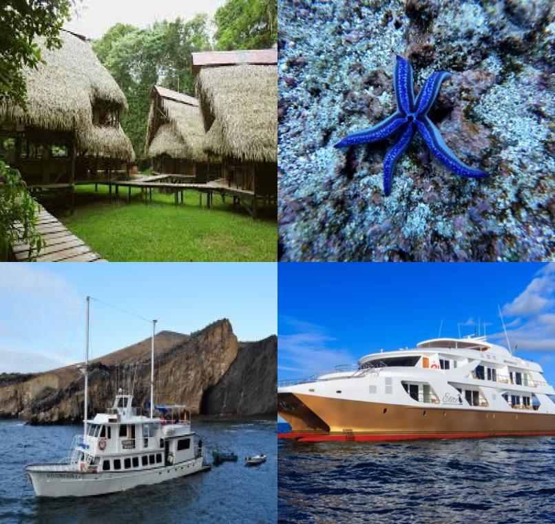 Galapagos Lastminutes & Jungle Tours