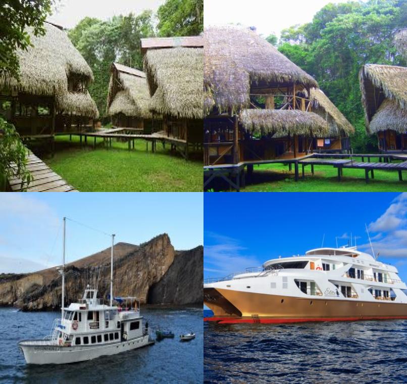 Galapagos Lastminutes & Jungle Tours
