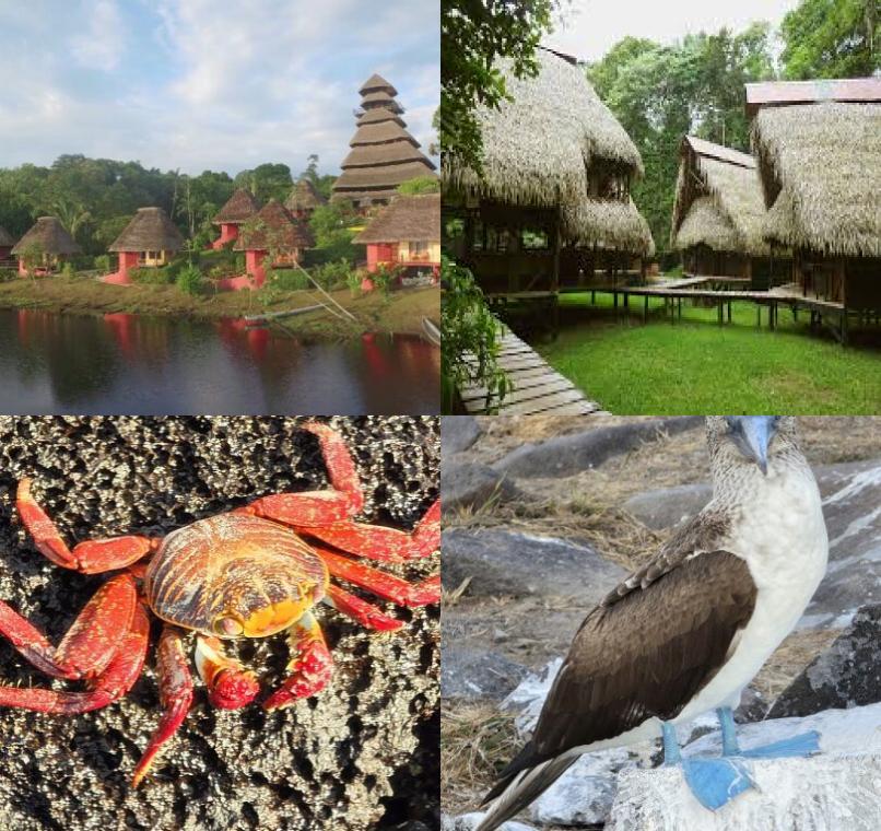 Galapagos Lastminutes & Jungle Tours