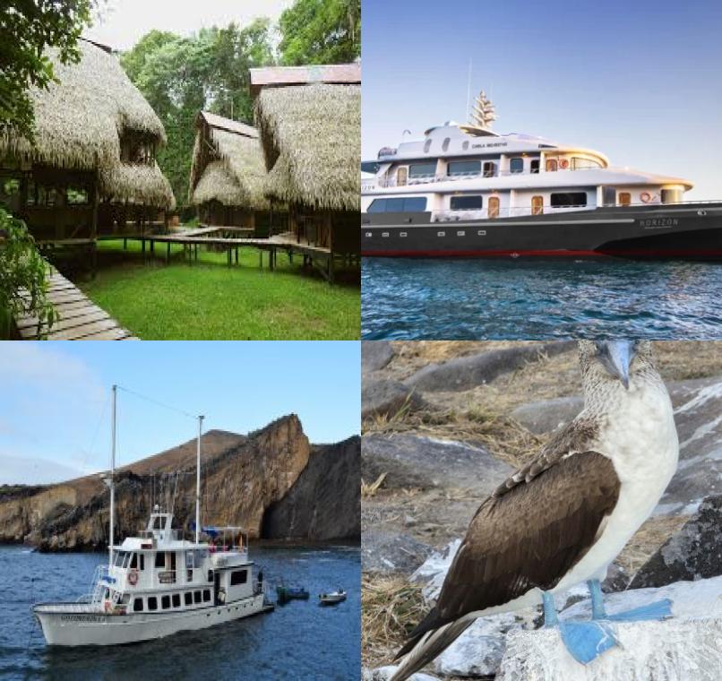 Galapagos Lastminutes & Jungle Tours
