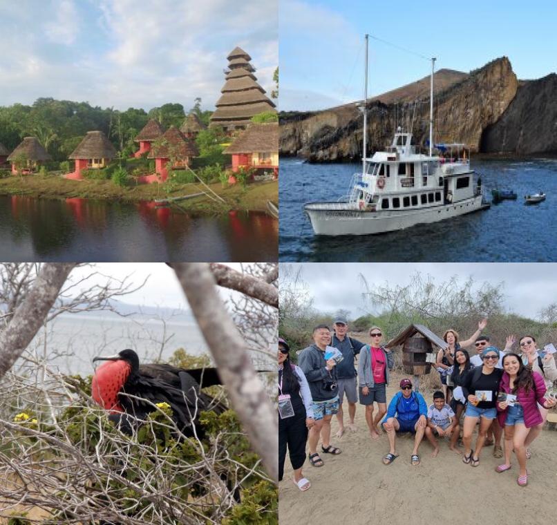 Galapagos Lastminutes & Jungle Tours