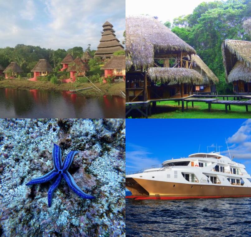 Galapagos Lastminutes & Jungle Tours