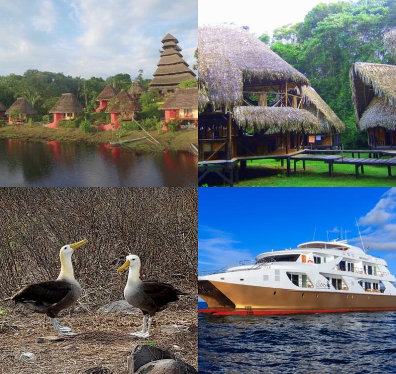 Galapagos Lastminutes & Jungle Tours