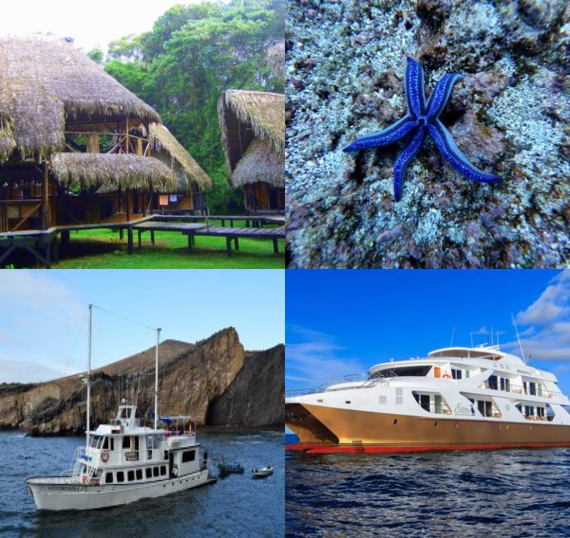 Galapagos Lastminutes & Jungle Tours