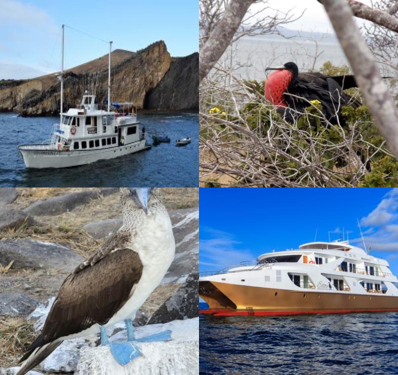 Galapagos Lastminutes & Jungle Tours