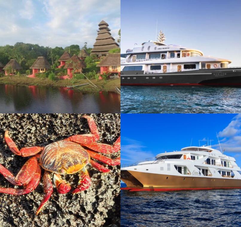 Galapagos Lastminutes & Jungle Tours