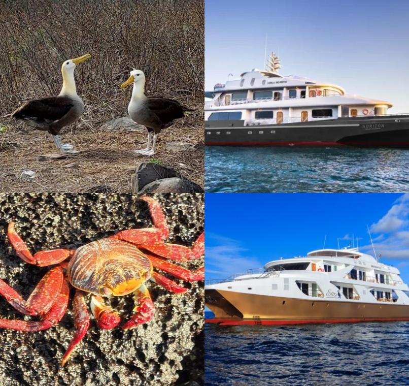 Galapagos Lastminutes & Jungle Tours