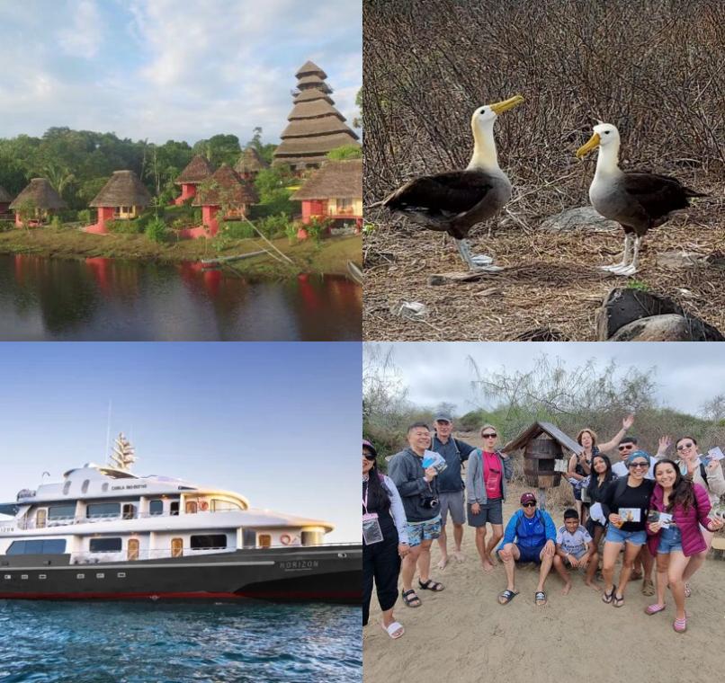 Galapagos Lastminutes & Jungle Tours