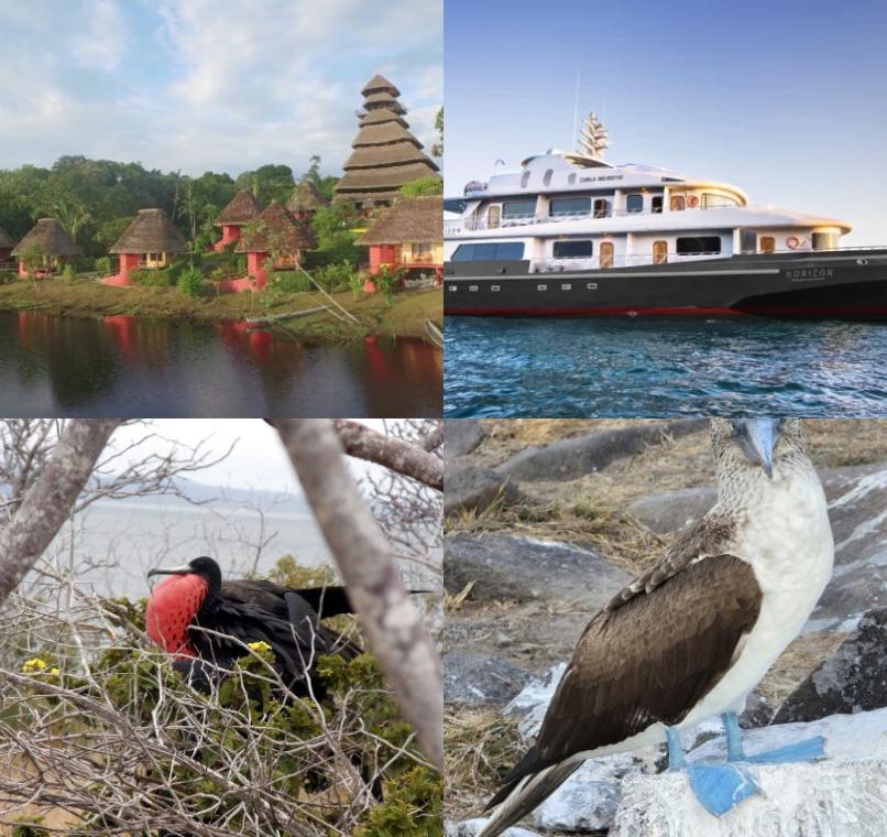 Galapagos Lastminutes & Jungle Tours