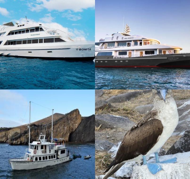 Galapagos Lastminutes & Jungle Tours