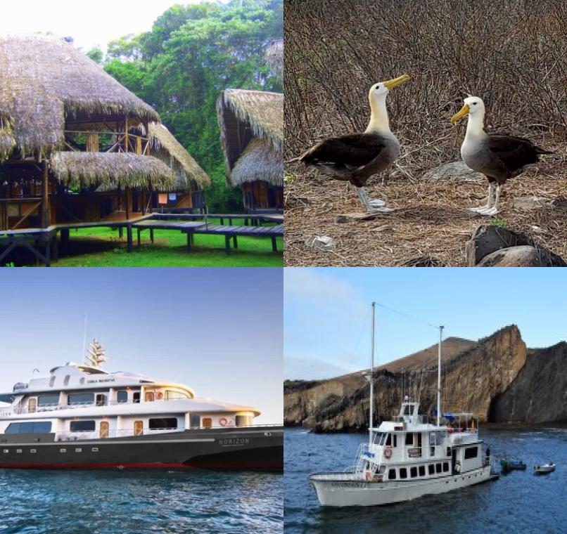 Galapagos Lastminutes & Jungle Tours