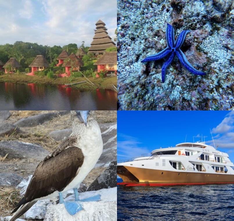 Galapagos Lastminutes & Jungle Tours