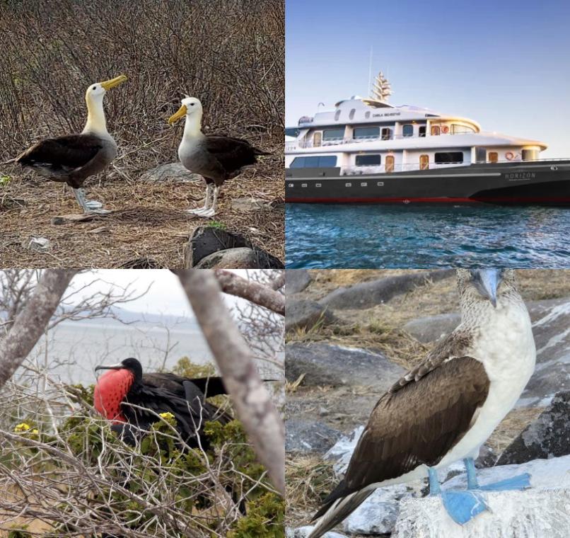 Galapagos Lastminutes & Jungle Tours