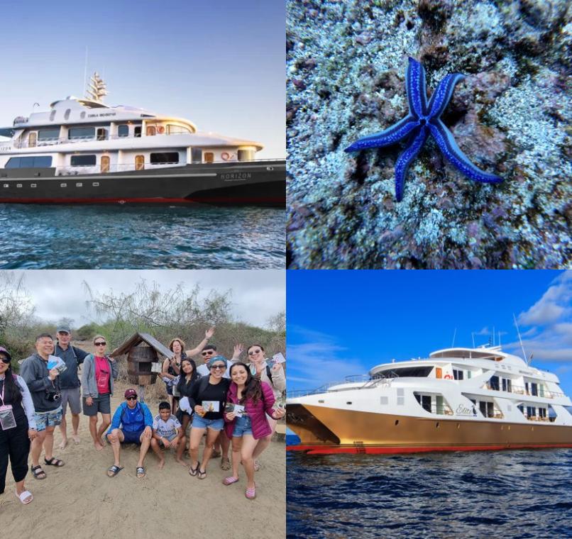 Galapagos Lastminutes & Jungle Tours