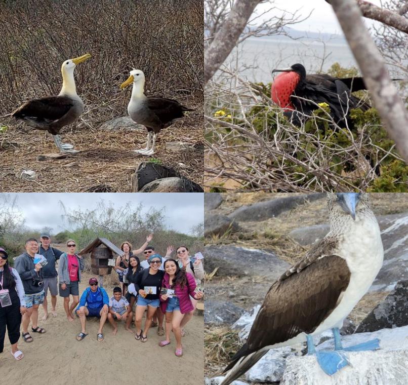 Galapagos Lastminutes & Jungle Tours