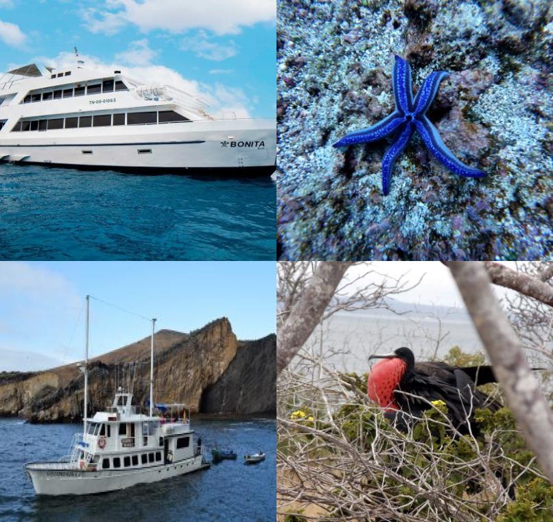 Galapagos Lastminutes & Jungle Tours