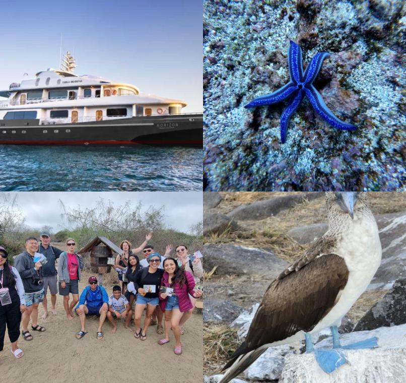 Galapagos Lastminutes & Jungle Tours